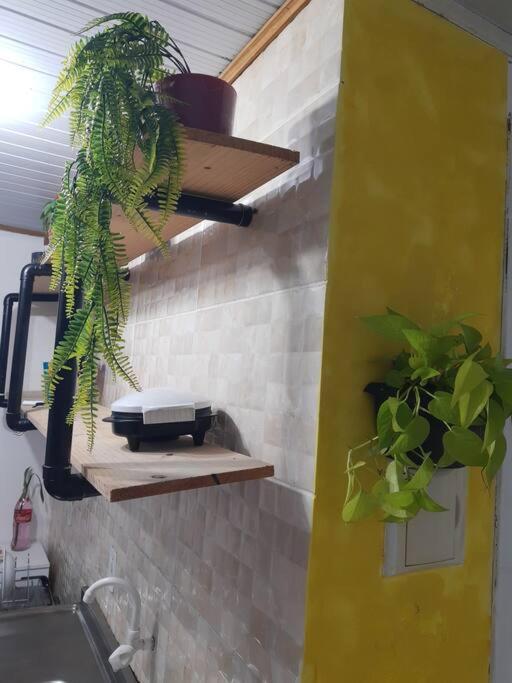 Townhousefloripa I Praia Do Mocambique Riovermelho Флоріанополіс Екстер'єр фото