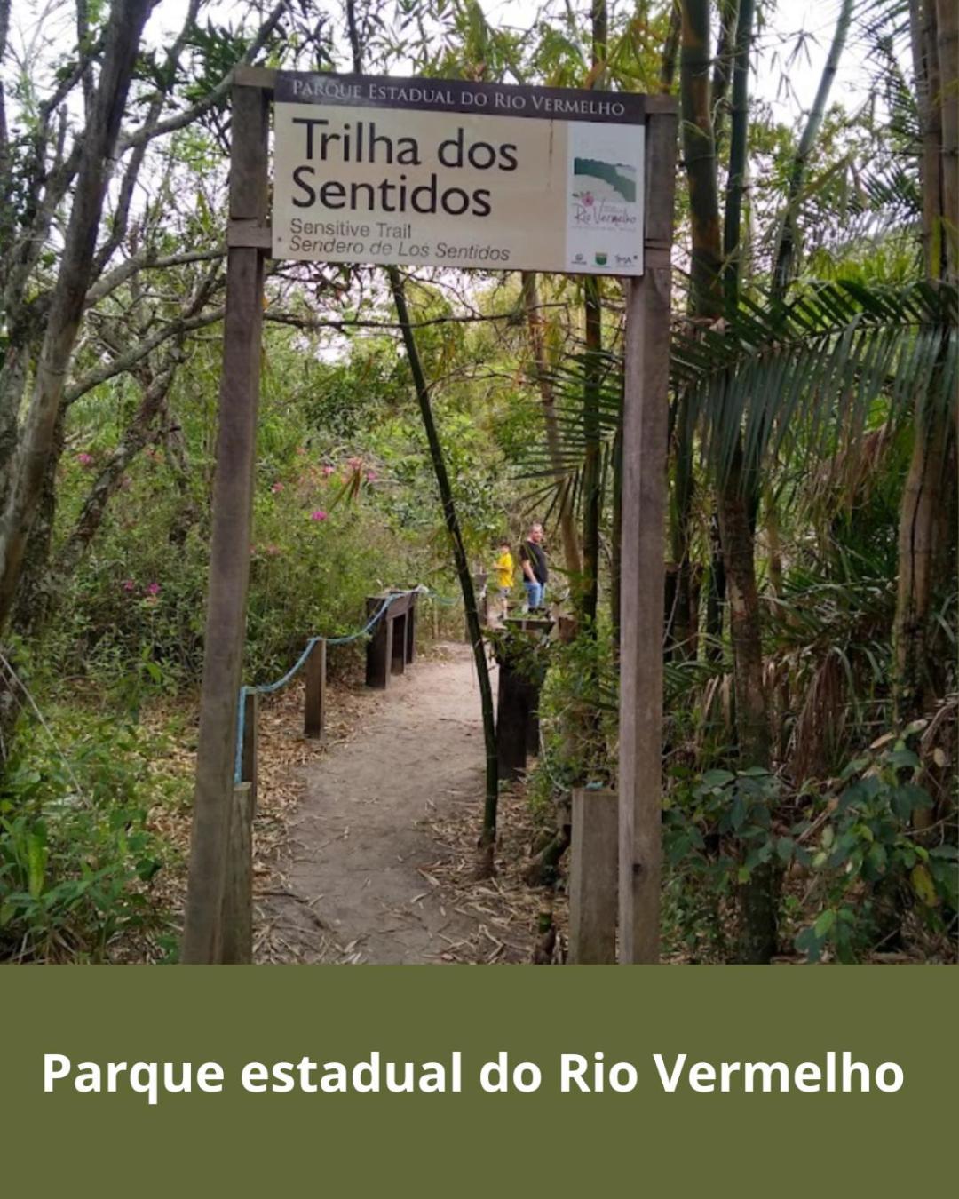 Townhousefloripa I Praia Do Mocambique Riovermelho Флоріанополіс Екстер'єр фото