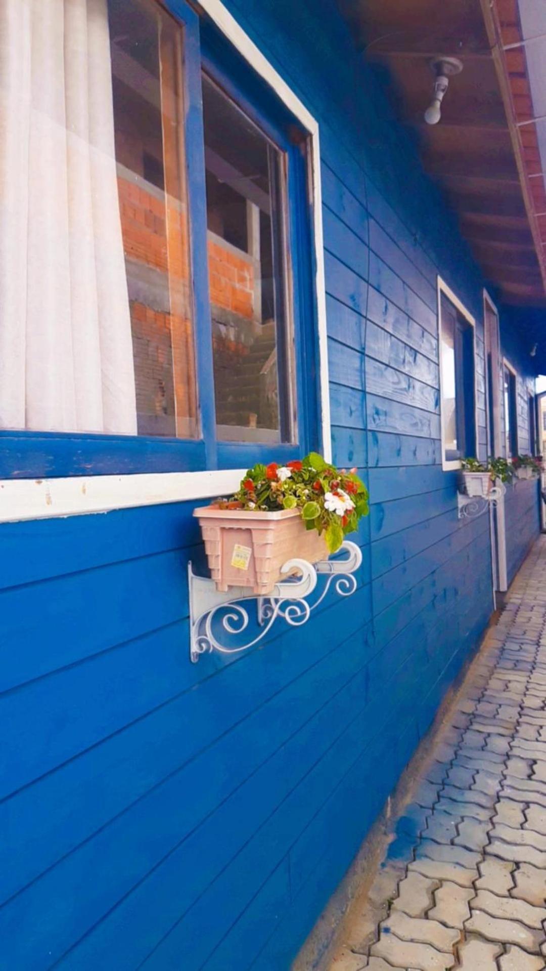 Townhousefloripa I Praia Do Mocambique Riovermelho Флоріанополіс Екстер'єр фото